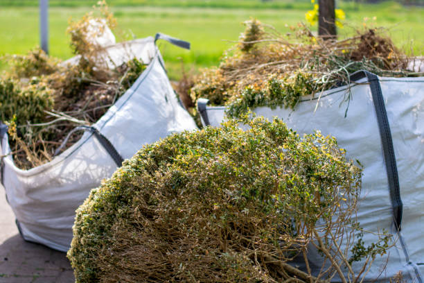 Best Shed Removal  in Payette, ID